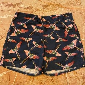 Men’s swim trunks parrot bathing suit
